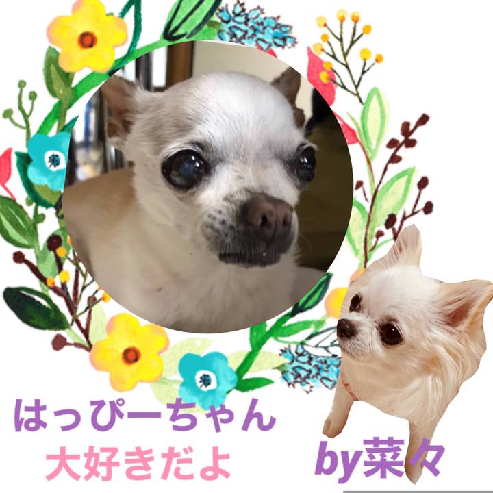 Cdd5dc6d 963a 47f8 974a 8c8e30a94c9f 1640830739577