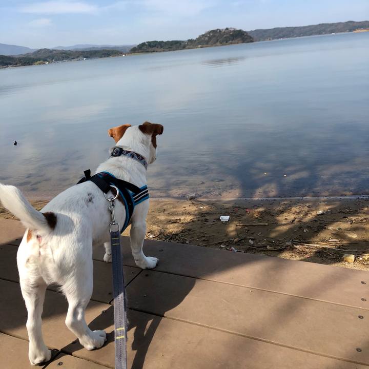 Cdd5fbfa 4ca2 44d4 9ef6 ada12cd9f73b 1616664506865