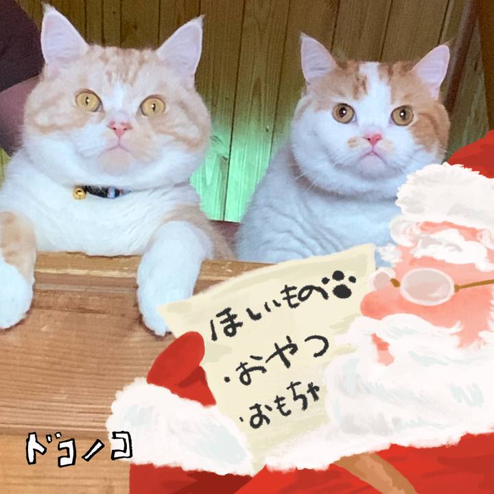 Cdd604d8 763d 4e40 8dd9 1465afba3bf5 1729245101981