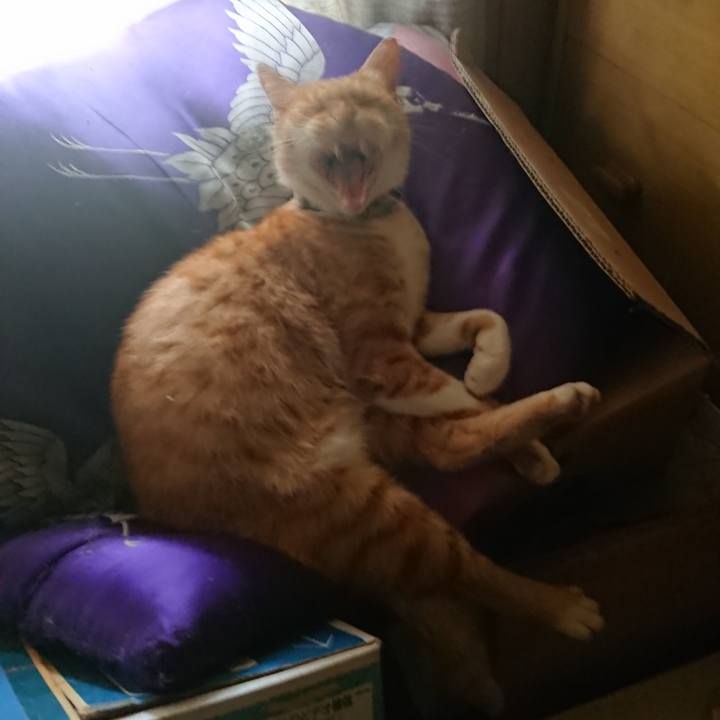 Cdd60d49 7fd9 4625 a7dc 60c071f4118b 1596941619103