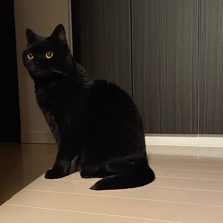 Cdd61f3f 2202 4ab0 8355 3a1059d4b1d3 1747743167487