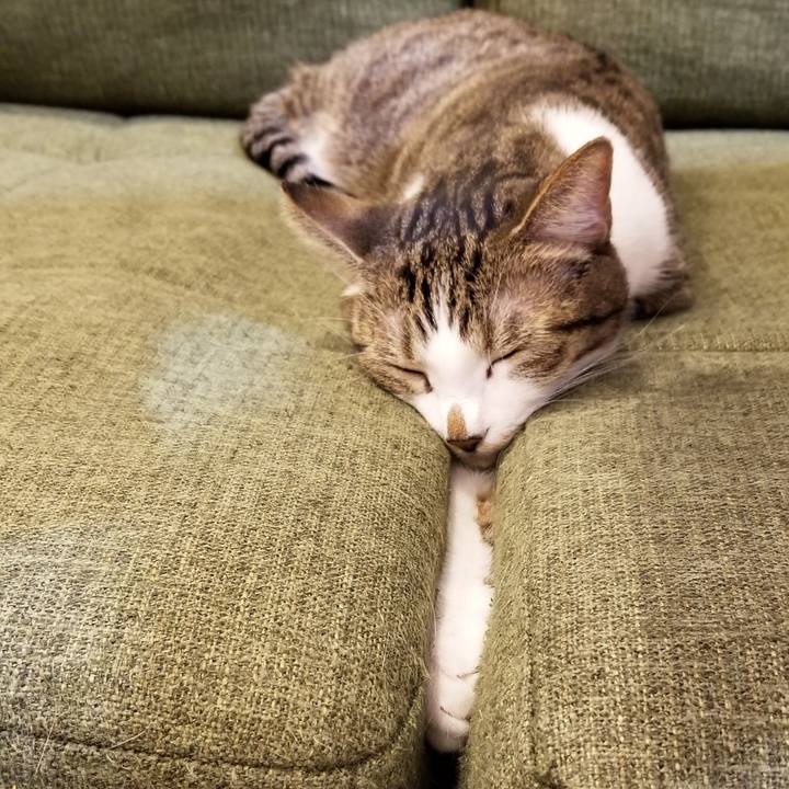 Cdd62496 879a 49cc b62d 5b31b46d5223 1547037447227