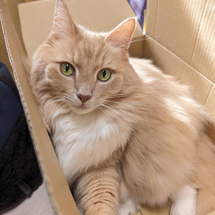 Cdd65e53 218a 4c3c b691 cbc2e8da7db0 1701573200945