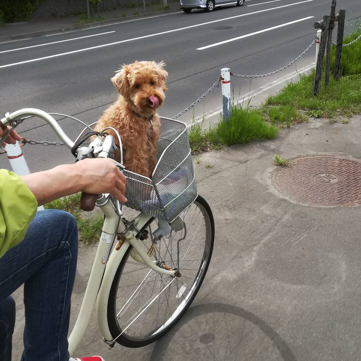 Cdd67c3f d887 4570 9169 c0b4dbd4b2ca 1528612236763