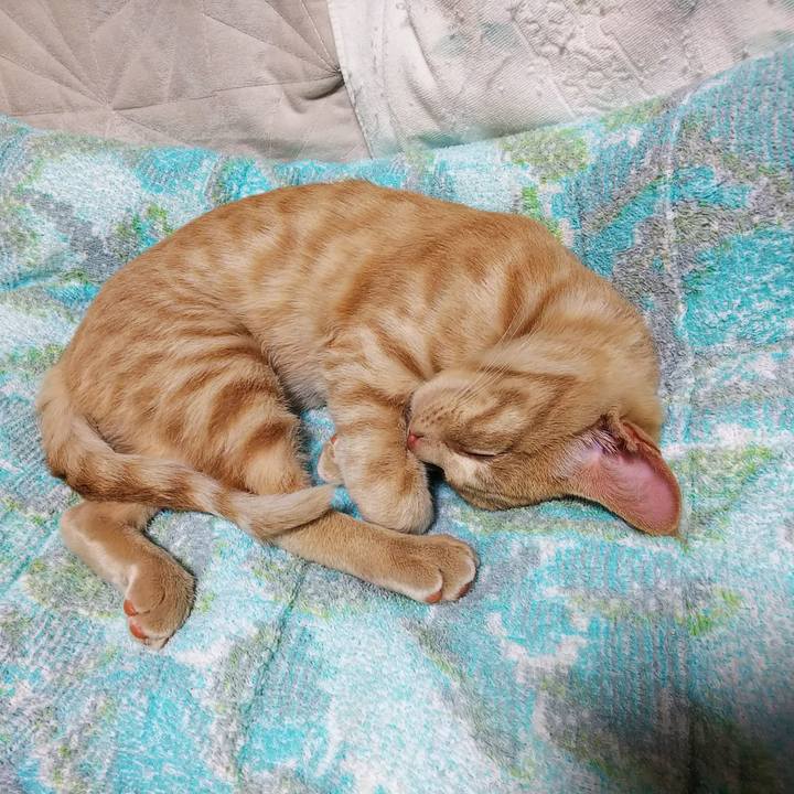 Cdd69a53 b40e 4111 bb7f 6cb7c5c940c0 1545376173170