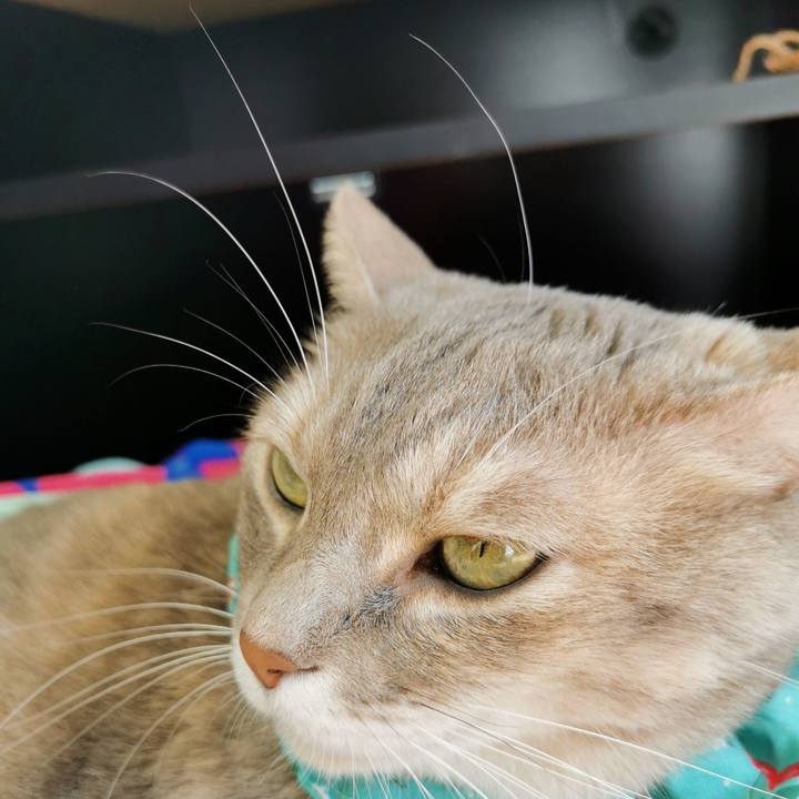 Cdd6eb17 de4d 4cbd a2e5 87eb231606c7 1666324301800