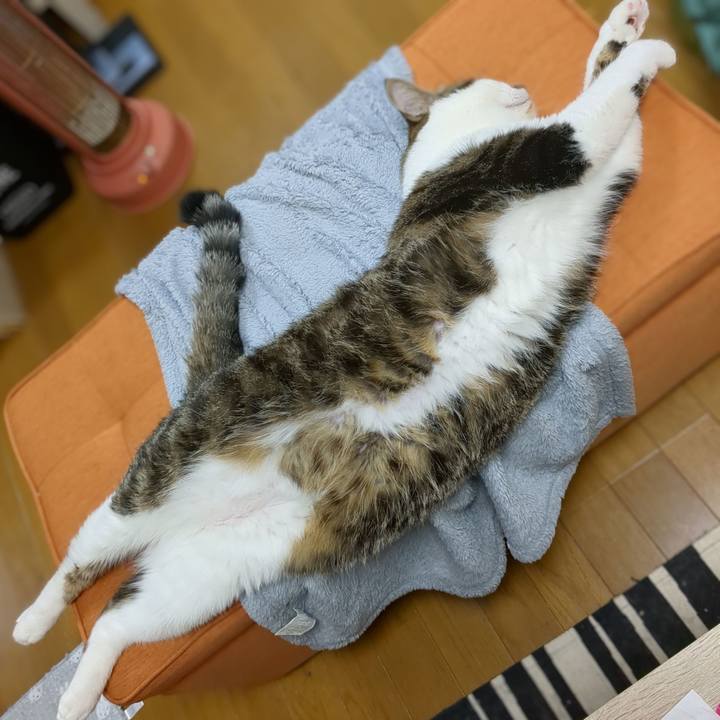 Cdd6fd8b 91d8 4815 849f 4099ceffddb9 1667895404207