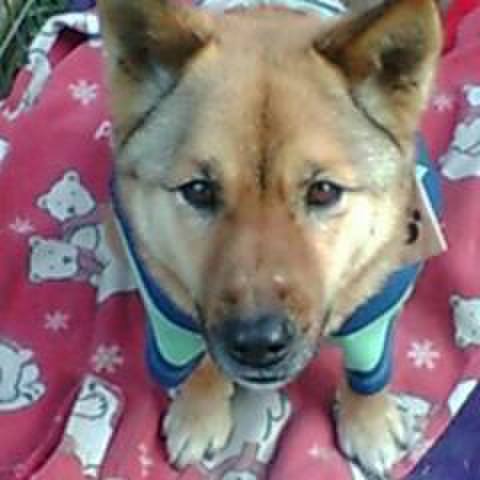 Cdd71c74 792f 443b 93cb 23cfacdbebcb 1513651625574