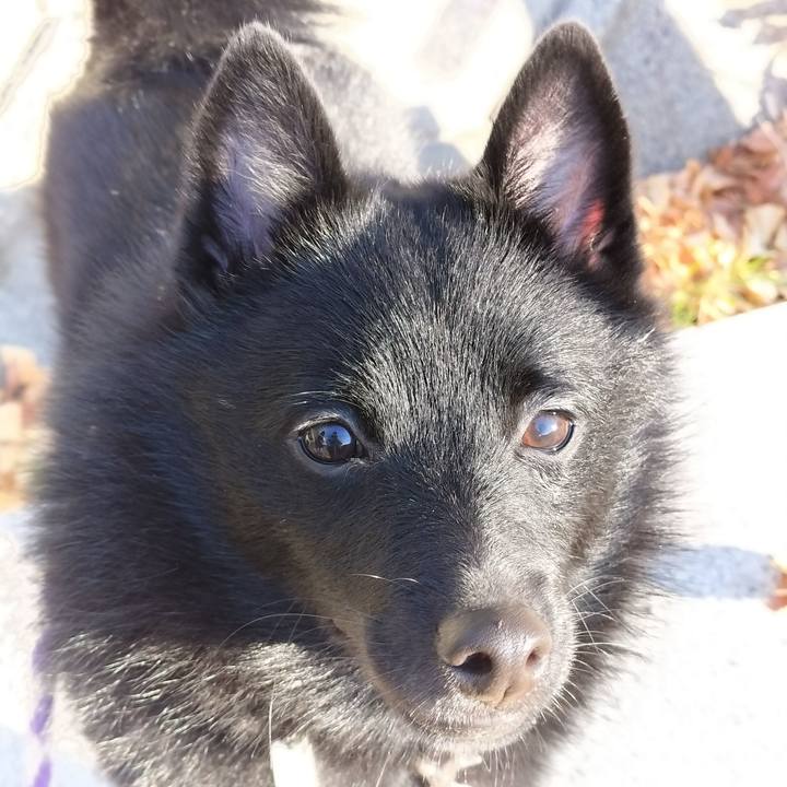 Cdd7302e 6afe 4314 9216 4ef84c31a00f 1764978783200