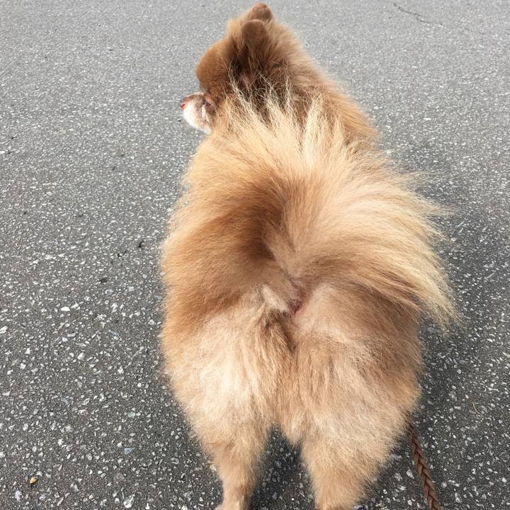 Cdd76dfb f294 4844 be31 51a8d81a7cd3 1510151553020