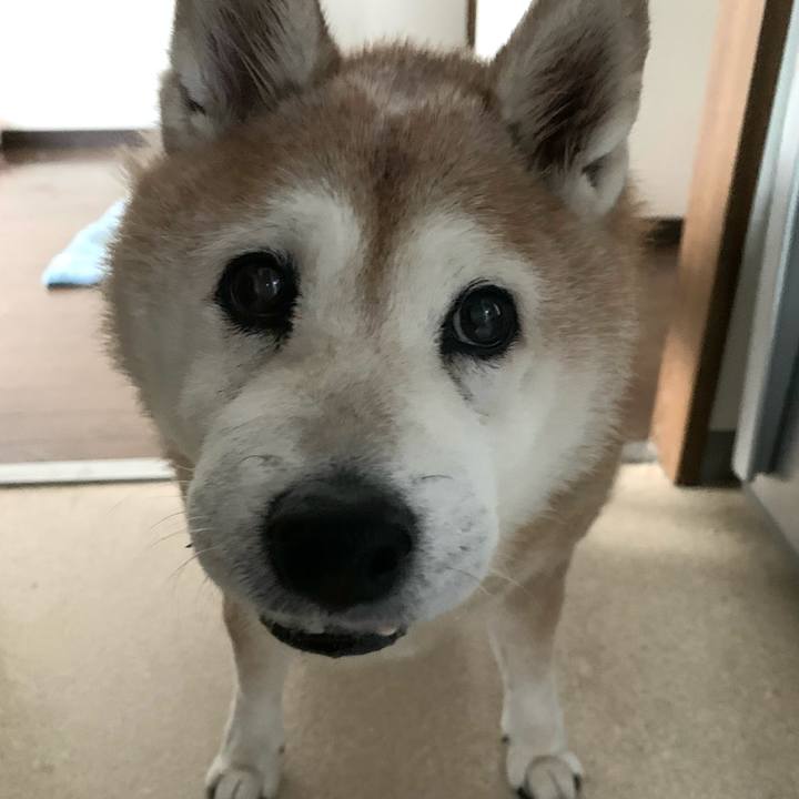 Cdd777e9 e473 4f77 aecd 07796128ba65 1638675665993