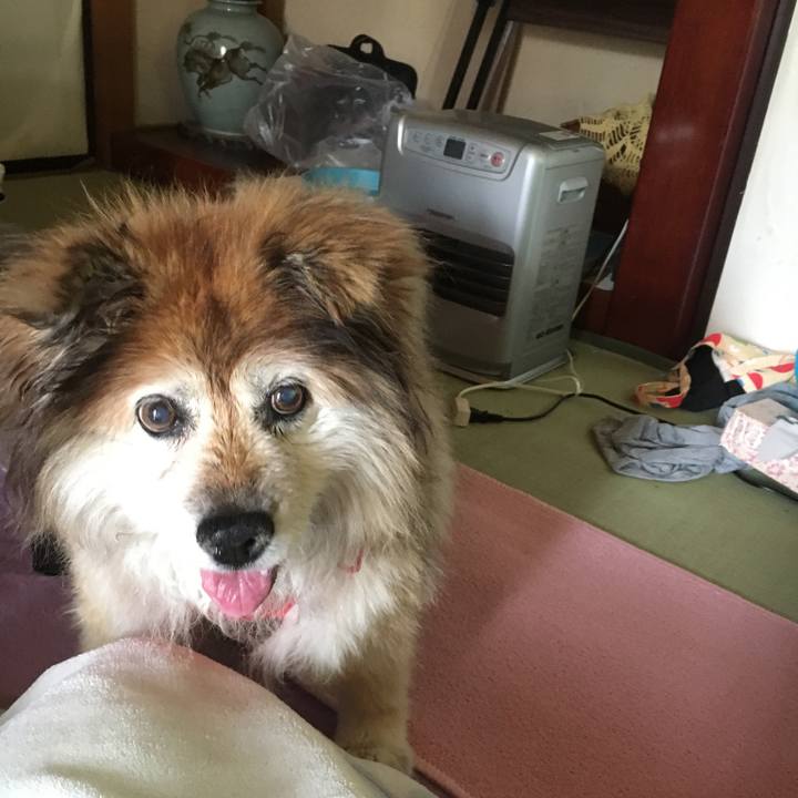 Cdd7912b 08bd 4293 a7b1 9065745f1090 1597617902735