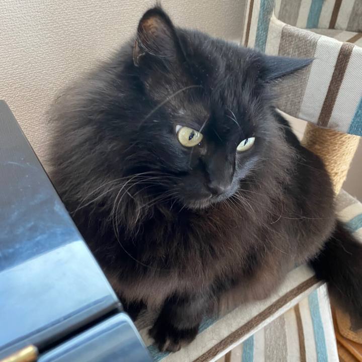 Cdd7ce6a 2218 4c9c a4de 19eb4826280a 1580712903573