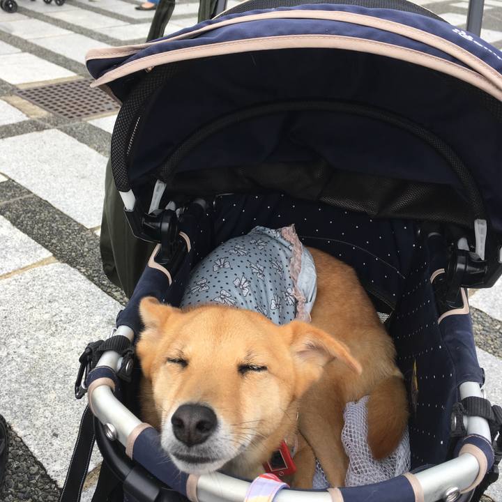 Cdd82403 e515 497a 9cca acf4d714364d 1539398738746