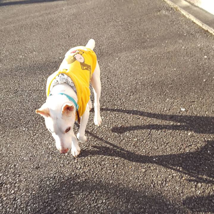 Cdd82afc bf52 4c34 8da6 6d7640f0c4fb 1540166770133