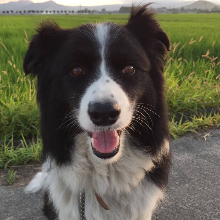 Cdd85494 9754 4441 bdc7 ecc5cd105d95 1533761470818