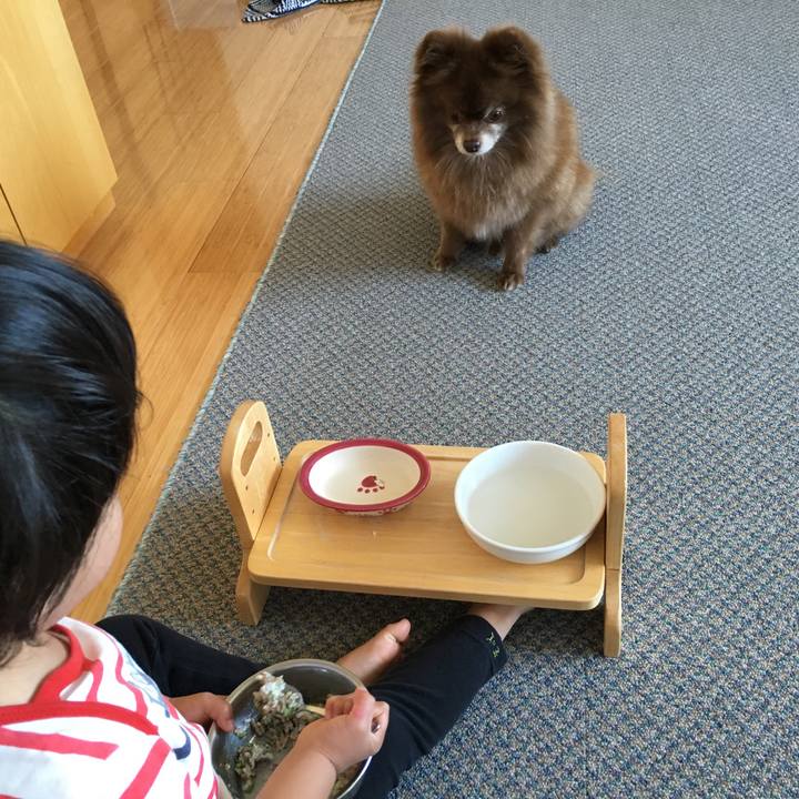 Cdd871b6 f10d 47ad 8b0e 55ef9d132278 1527773618672