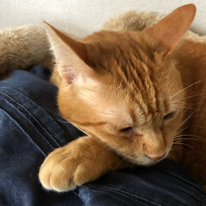 Cdd88342 9ba9 4ddd bfaa f389f15b4422 1634247189844