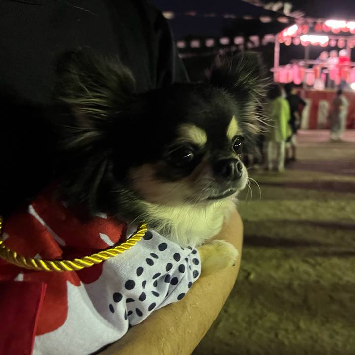 Cdd88a09 ea34 4e47 a9dc d2a74b6eb798 1690629363474