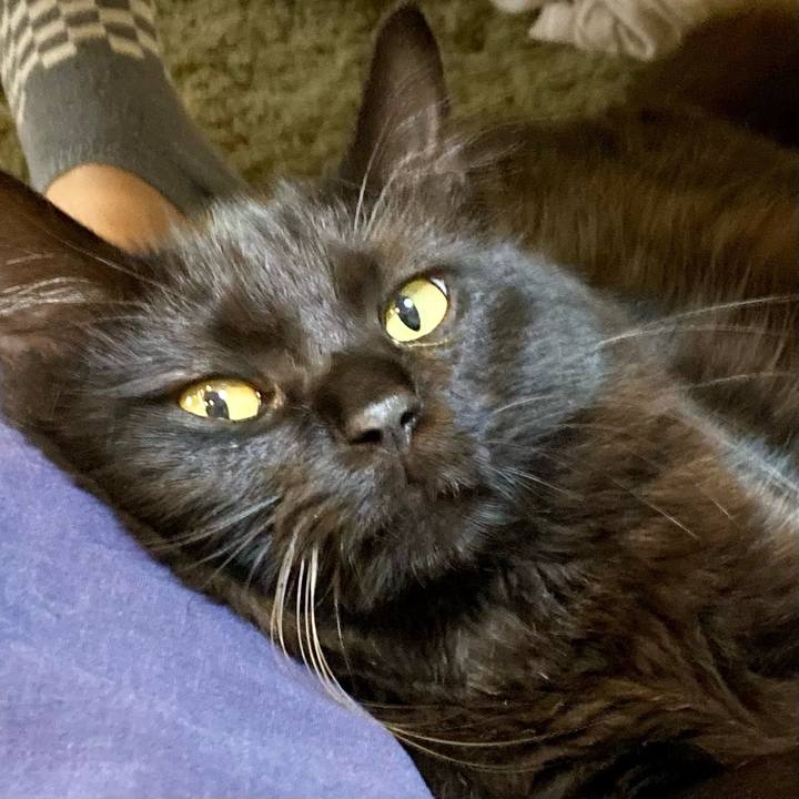 Cdd896c1 1513 4480 9908 97c533043804 1723802670213