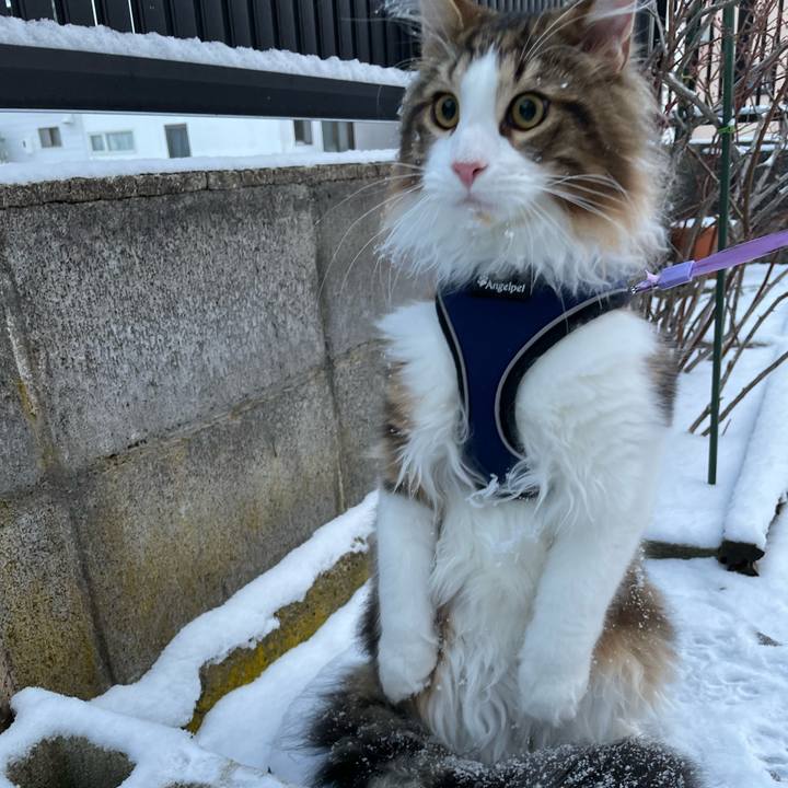 Cdd8c558 58a8 4196 8ce2 6a537743c577 1639868588321