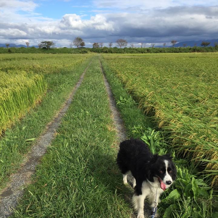 Cdd8e288 1e1e 41b9 842d 120c81f96e23 1569225244724