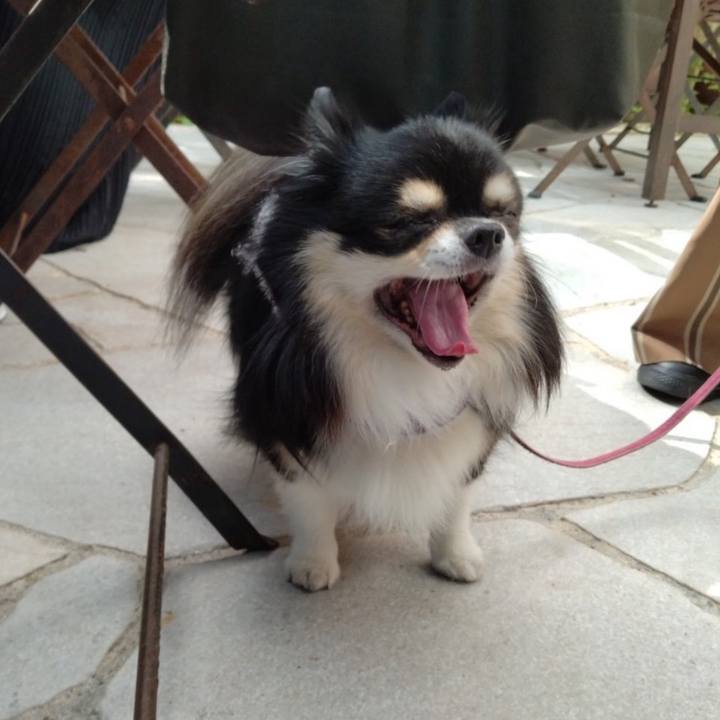 Cdd8e668 0526 4068 9a91 5731c9ae7c3f 1763031483758