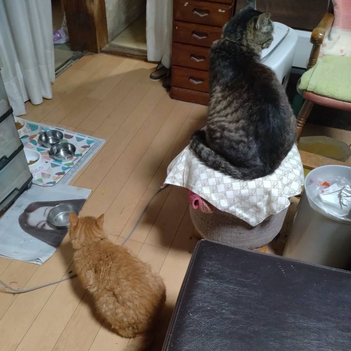 Cdd8f9f3 6a78 48c3 a5eb 520fb9a6a721 1721216778448