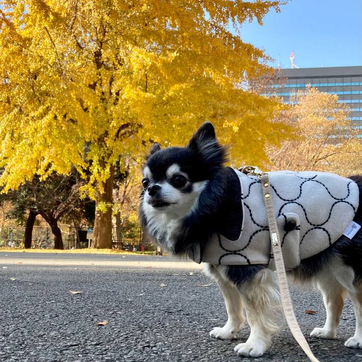 Cdd916f6 1878 47e8 9212 28957aa89268 1765178159413