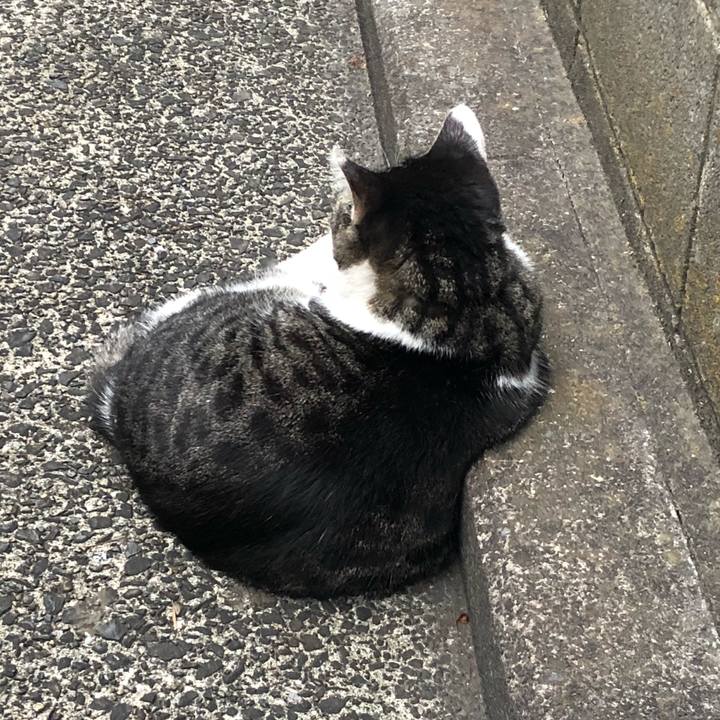 Cdd91f58 0606 436e b89e 7433f587c014 1532699814162