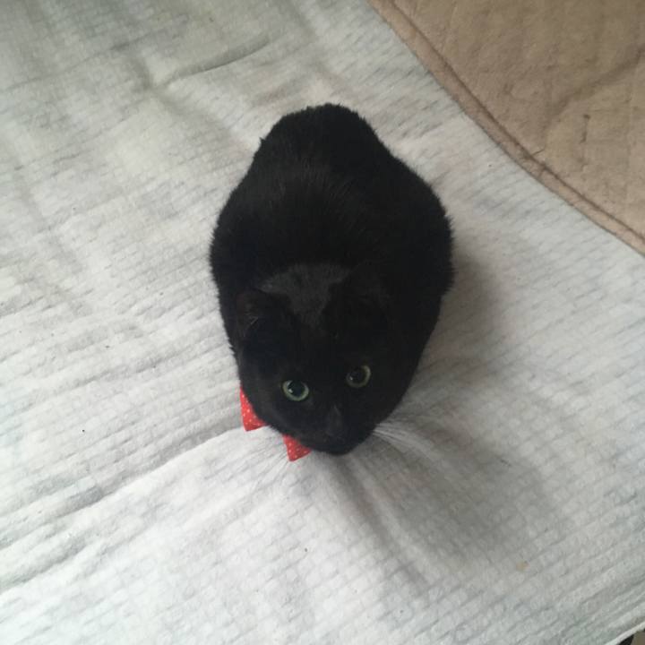 Cdd92ac4 e618 4b4f 9856 1e26f2fa911f 1551305132469