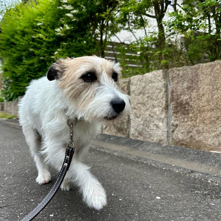 Cdd93a46 bdcc 4c4b 9cd8 546627614c90 1747978363562