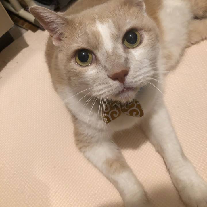 Cdd96d09 2fe8 4f58 a15d 859b0e1e9736 1602417260049