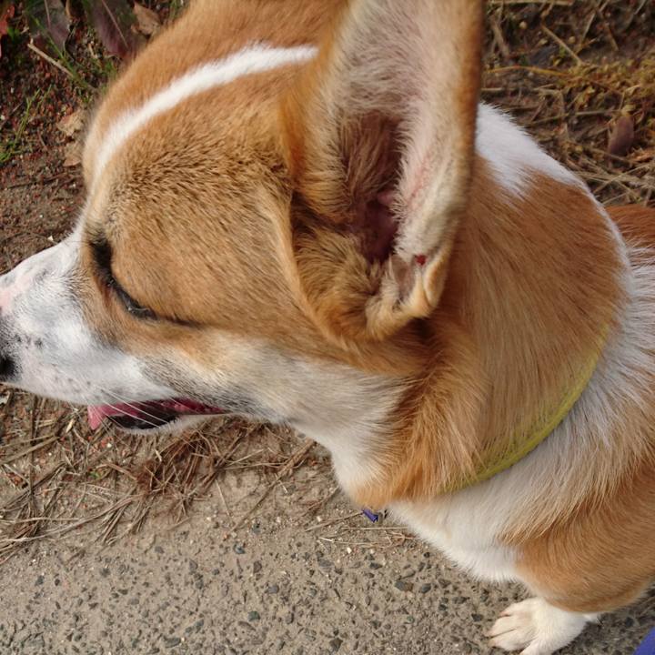 Cdd98d3c 9b0c 4b03 a5e9 0412aba2af1a 1573601189673