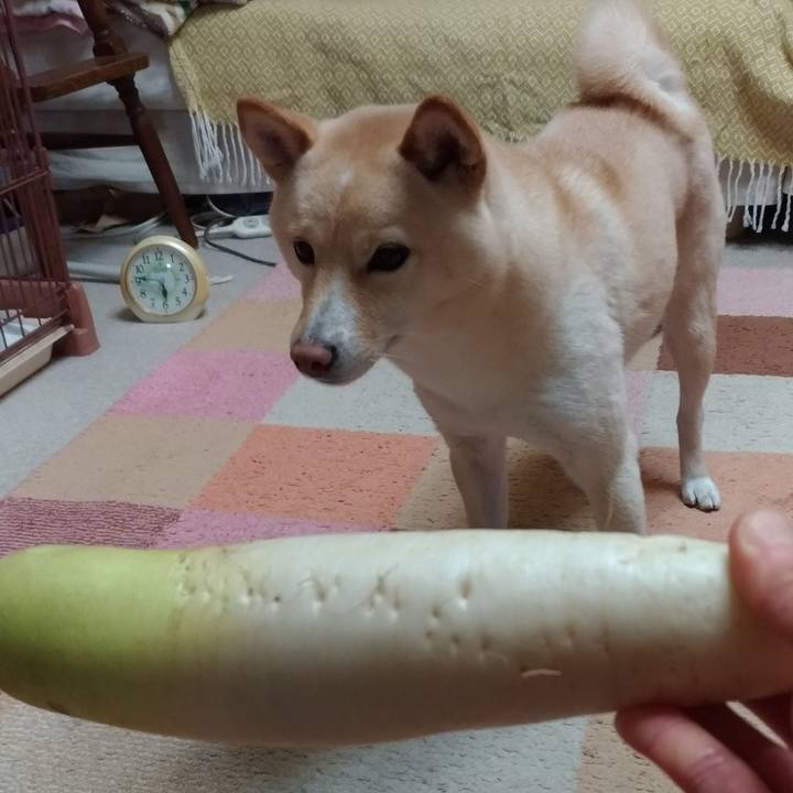 Cdd9b3a4 190d 4a2a 806d 3f0db3a24d53 1576926857774