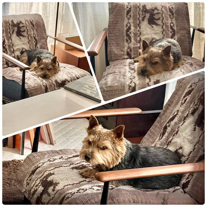 Cdd9def4 1141 4624 b91b 3d1fa1dd3ced 1770007774446