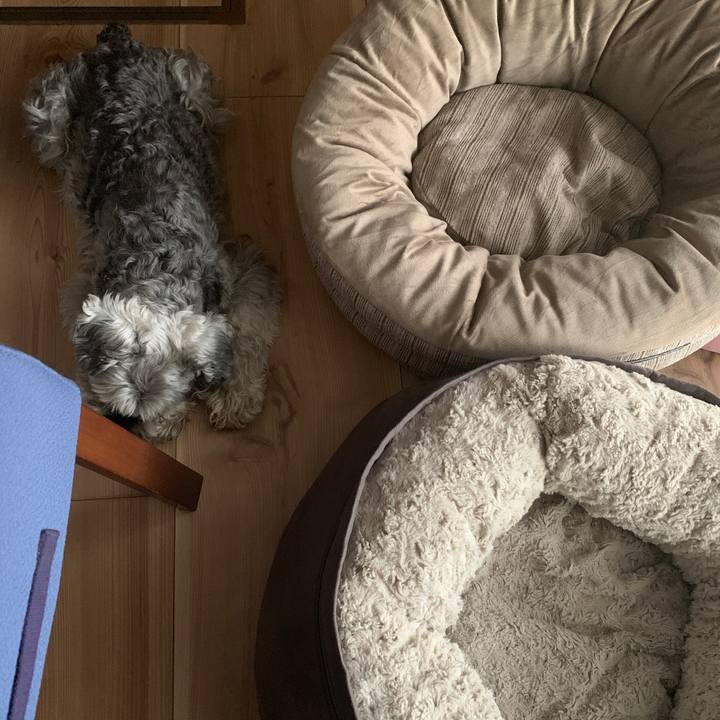 Cdd9fdd7 60fc 435e b977 9ed069e810b2 1682060052323