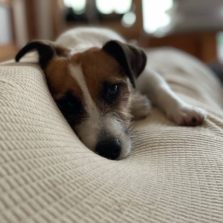 Cdda0e88 c25c 480a 99f4 a1c27fb8cf35 1658708186623