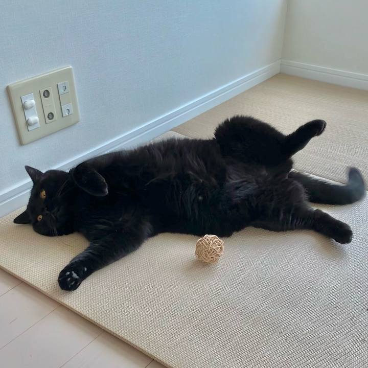 Cdda26db 369f 49a3 9272 a0bc114abb17 1664672863305