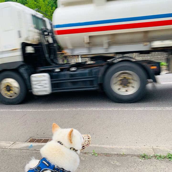 Cdda3ec7 95cd 4896 88bc e76ff2972da2 1622668932002