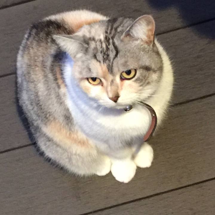 Cdda7f1a 65a3 4a32 a719 73c9e32a49b9 1555407689708