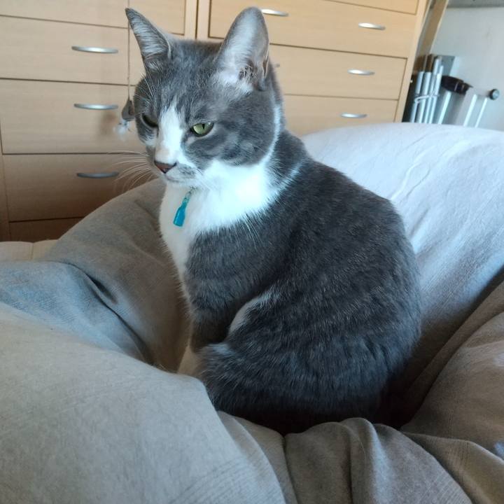 Cdda8016 76e1 45a0 8449 53adcdddef89 1638068478867