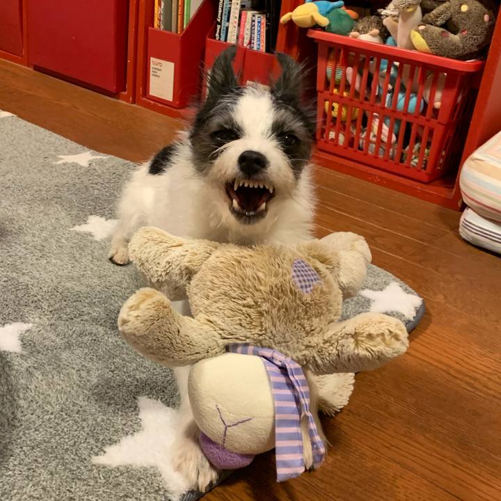 Cdda9e50 ab3d 44b4 9a5f 4dc6a4784151 1606313981398