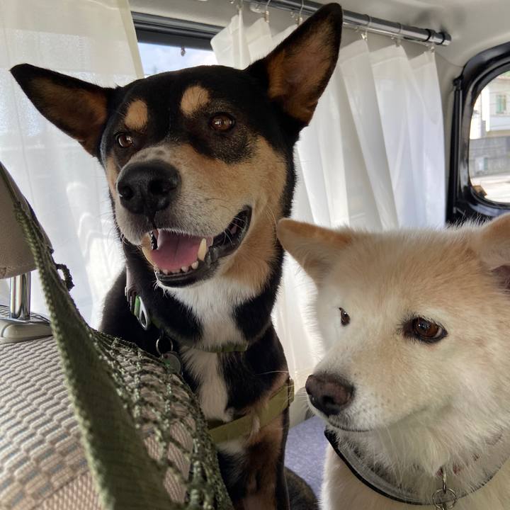 Cdda9f07 dc16 49c9 adbf 8134e376f006 1694340123320