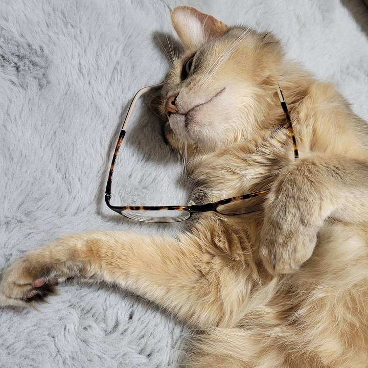 Cddaa77c e466 4792 bf30 63931b58c546 1654398868484