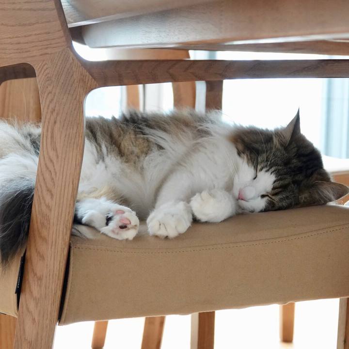 Cddac52d c15c 4294 bc7a bc85e566a727 1561021379800