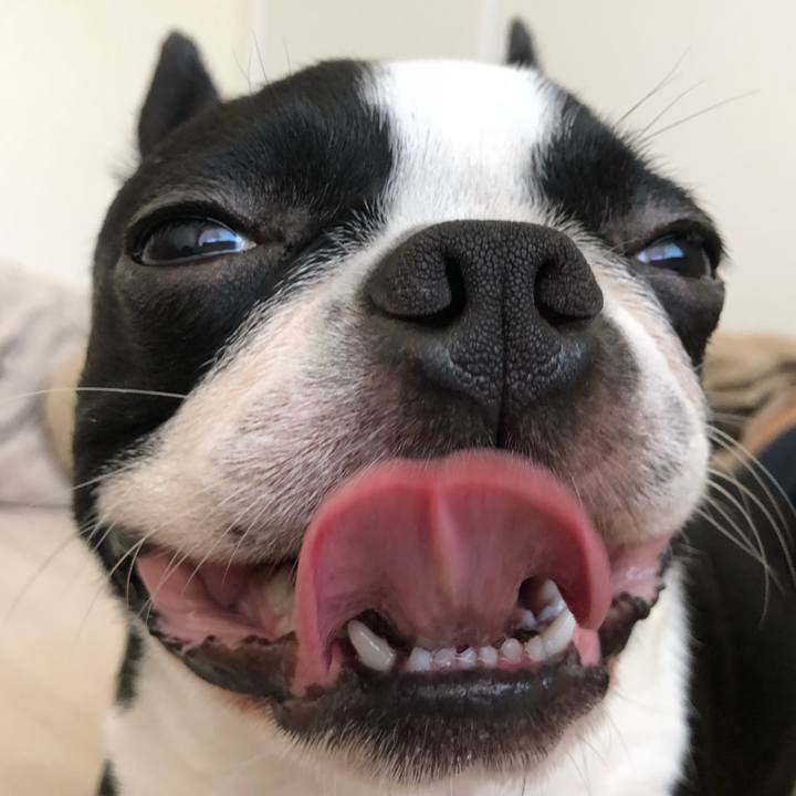 Cddade39 00c5 4c10 ad1a 7842da935861 1538371598588