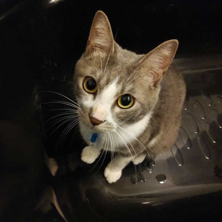 Cddaf667 be5f 4a34 be59 740abe7828f9 1592743213417