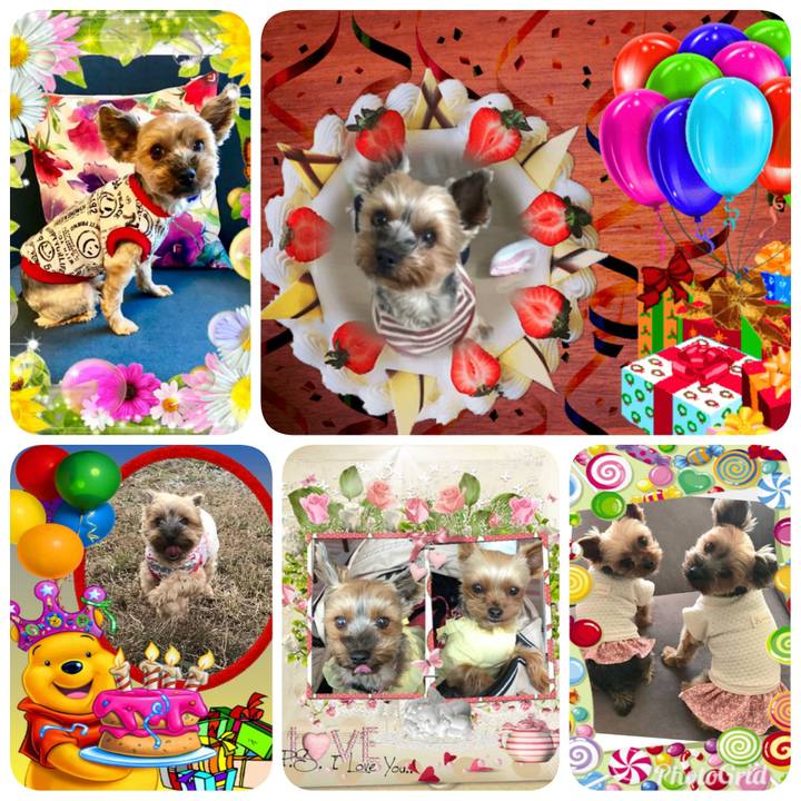 Cddb0930 af28 472b a627 d375cea65464 1563032029844