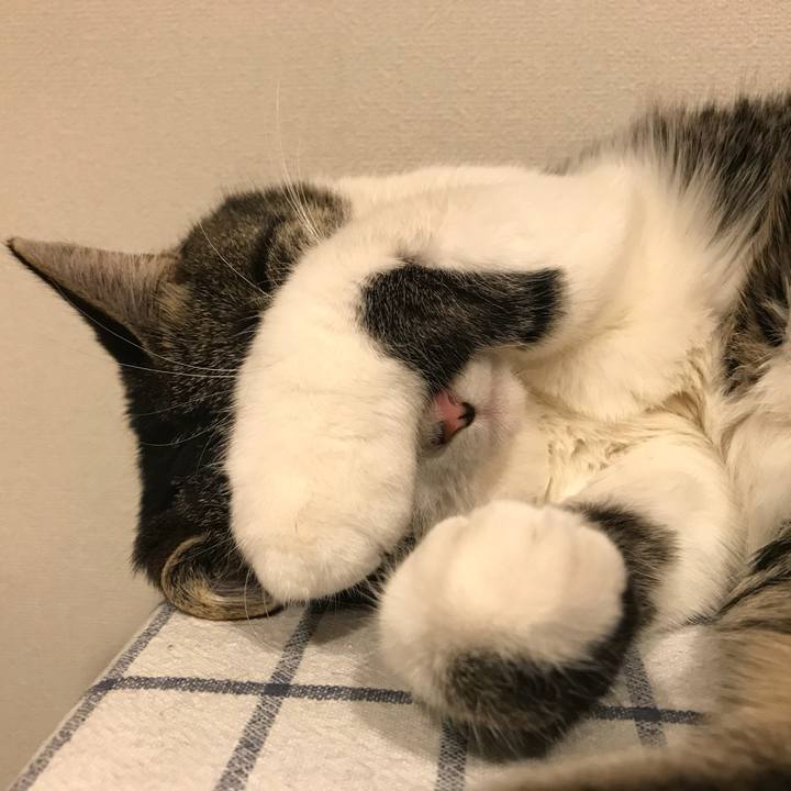 Cddb64b9 c33f 429f ad8e 00b7f2080fa7 1522583127090